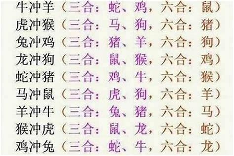 肖牛六合|十二生肖相冲、三合、六合